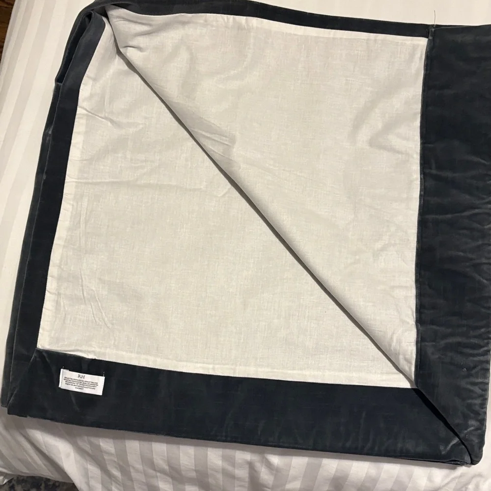 Restoration Hardware 2 panels Velvet Curtain.